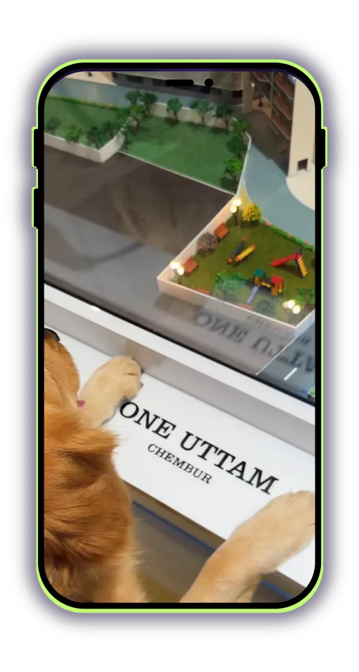 Pet creator — Social Smiths real estate video